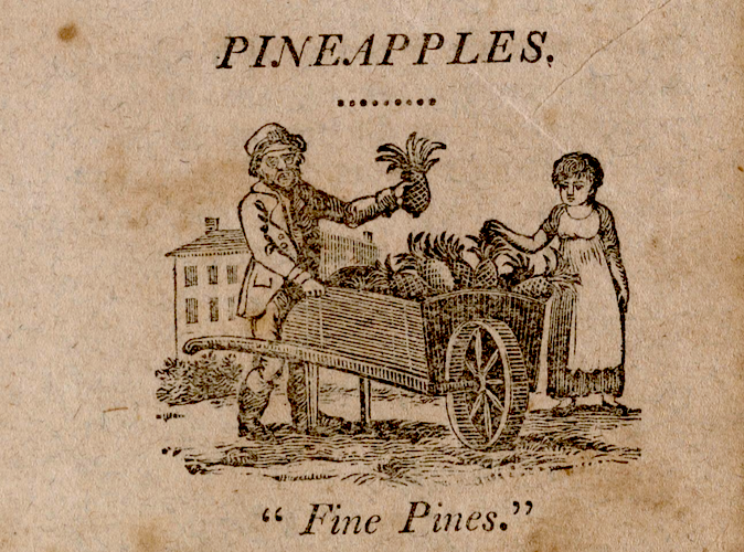 Illustration of a street vendor in 1800s NYC selling pineapples