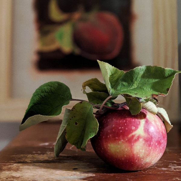 Fresh picked apple on table with a painting of said apple behind it. By Lisa Chan